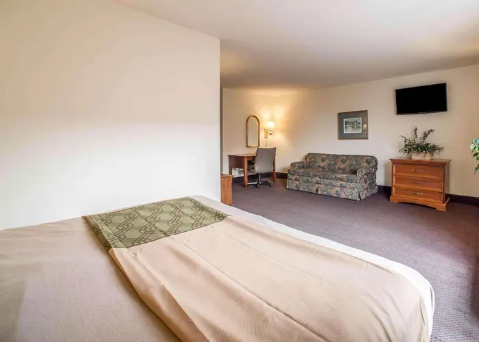 Lodge Econo
