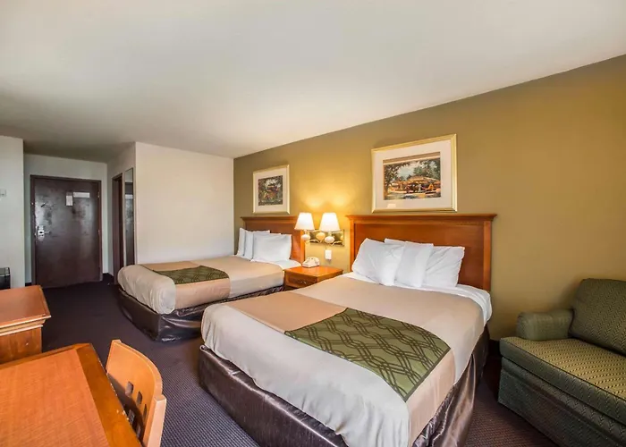 Lodge Econo